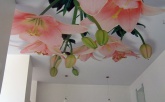 Натяжной потолок с фотопечатью «Цветы и бабочки» в трехкомнатной квартире общей площадью <nobr><b>26,4</b> м<sup>2</sup></nobr> за <nobr><b>34 100</b> руб</nobr>